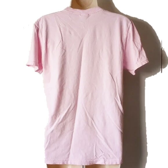 Comfort Colors 100% Cotton T-shirt Amortentia Love Potion S Light Pink - Picture 2 of 7